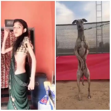 Woman in Saree and Dog Outdoors