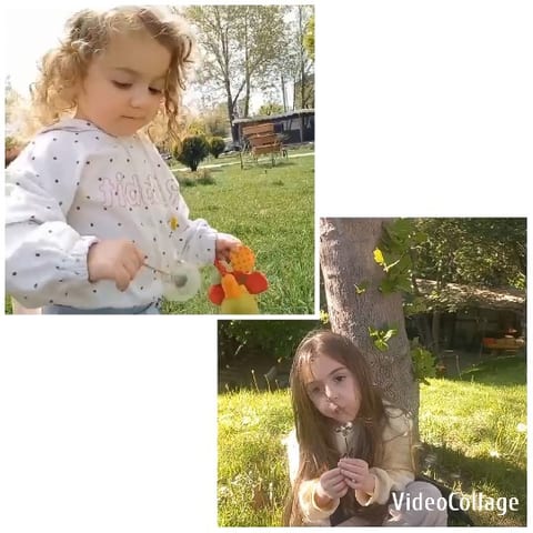 Children with Dandelions Outdoors