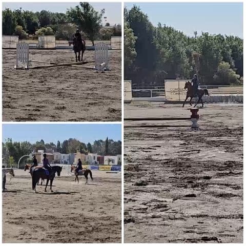 Equestrian Jumping Event in Action