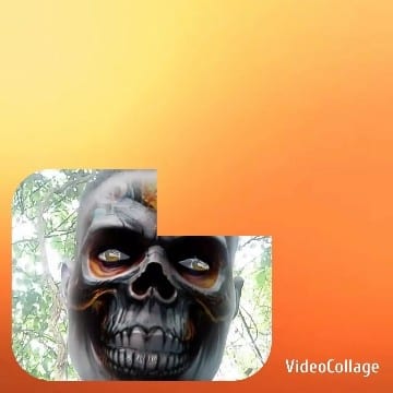 Skull Face Against Greenery Background