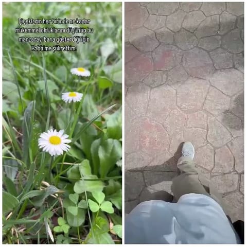 Daisies and Person Walking Path