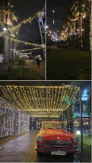 Night Park Scene with String Lights