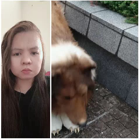 Person and Dog by Stone Wall