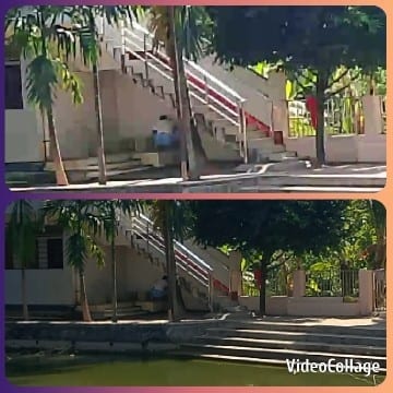 Quiet Outdoor Staircase Scene