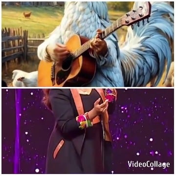 Rooster Guitarist and Stage Performer