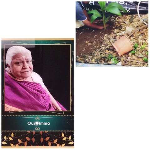 Elderly Person and Gardening Scene