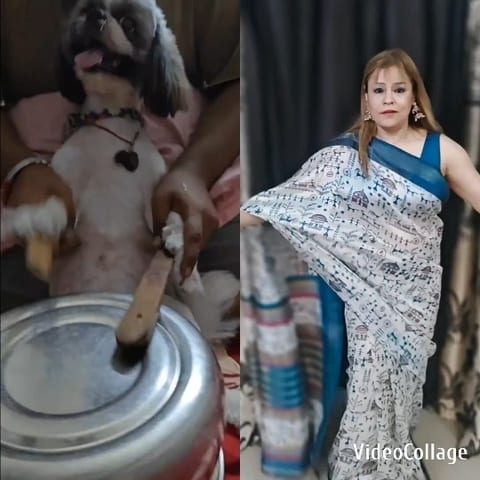 Dog Playing with Metal Container