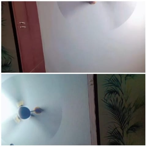 Ceiling Fans in Different Environments