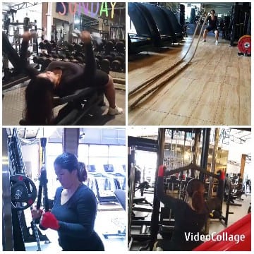 Diverse Gym Scenes with Equipment