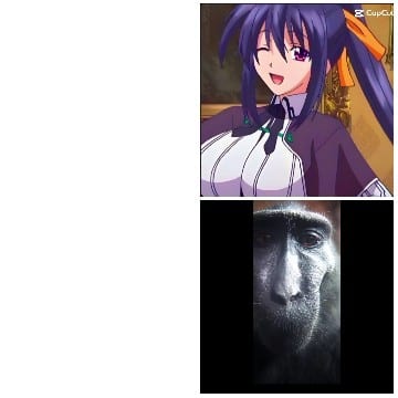 Anime Character and Neutral Monkey