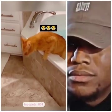 Cat in Bathtub and Close-up Person