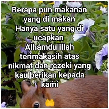 Gratitude Text with Flowers