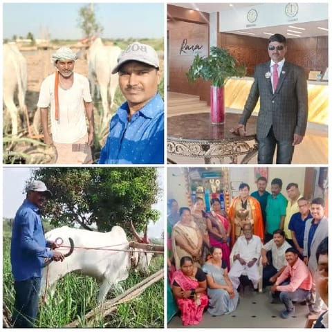 Cattle, Men, and Posed Group