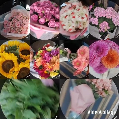 Colorful Flower Bouquets Collection