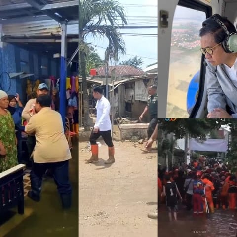 Flood Damage Assessment Scenes