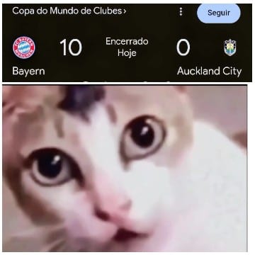Copa do Mundo Scoreboard and Cat