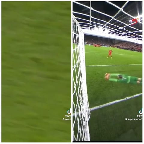 Grass and Soccer Goal Scene