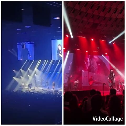 Concert Scenes with Live Performers