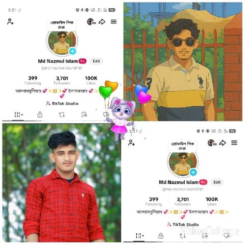 Social Media Profiles Display