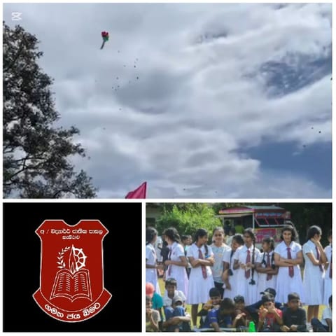 Kite Flying on a School Day
