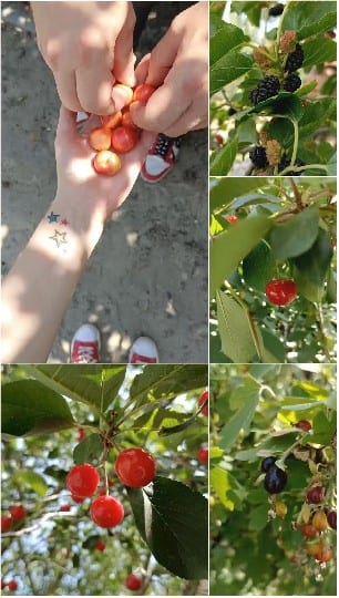 Hands and Feet in Nature