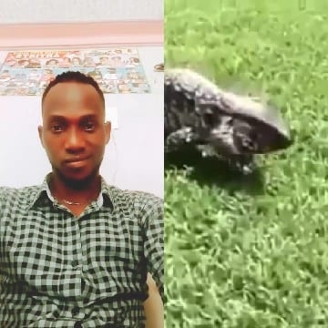 Indoor Person And Outdoor Lizard