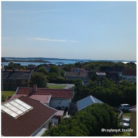 Scenic Coastal Village View