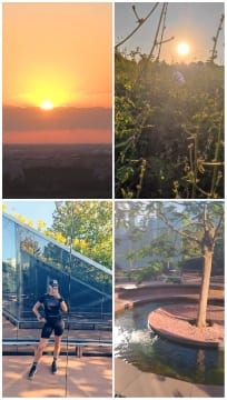 Sunrise and Greenery Reflections