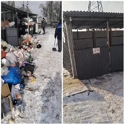 Before and After Trash Collection