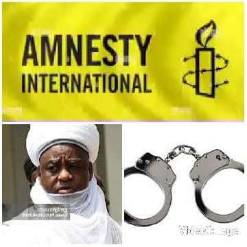Amnesty International Logo and Images