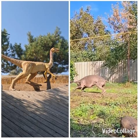 Dinosaur Sculpture and Live Deer
