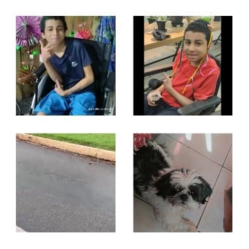 Four Photos of Wheelchair Users