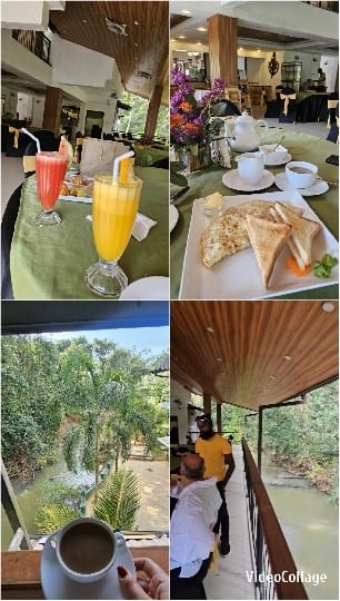 Colorful Drinks and Scenic Views
