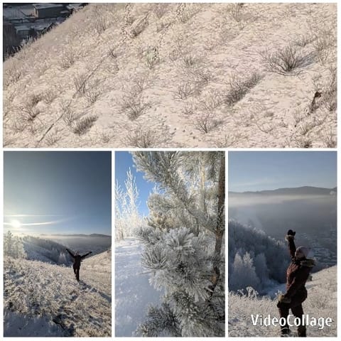Snowy Landscapes and Joyful Views