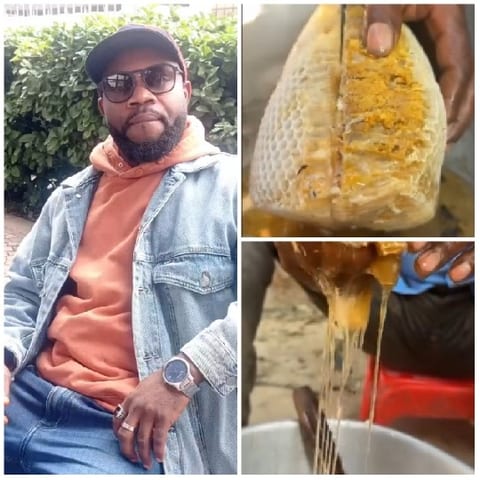 Outdoor Relaxation and Honey Extraction