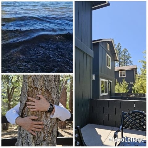 Water, Tree Hug, and House