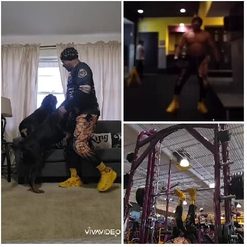 Dog Interaction and Colorful Gym Wear