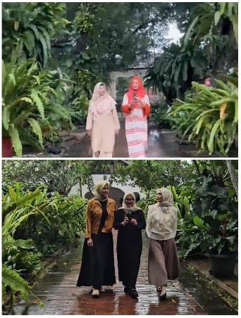 Walking in a Lush Garden