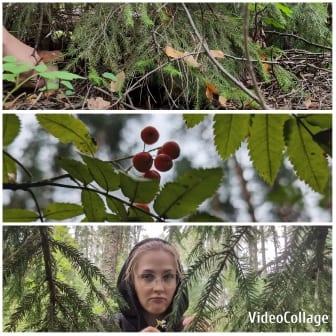 Forest Foliage and Person in Jacket