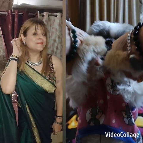Woman in Saree and Playful Dog