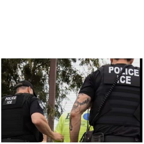 Police Officers Detaining Individual Outdoors