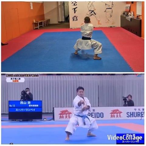 Karate Practice and Competitive Moves