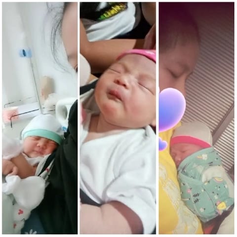 Newborn Babies Swaddled and Calm