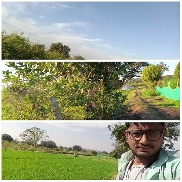 Outdoor Scenes with Blue Sky
