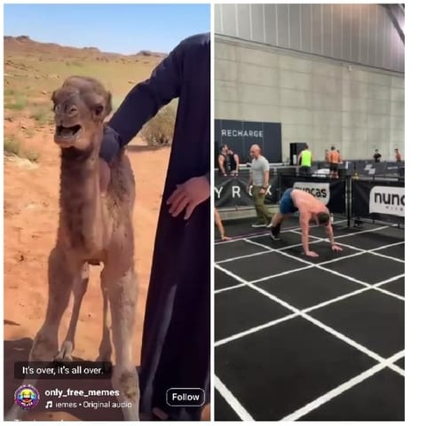 Camel in Desert and Fitness Activity