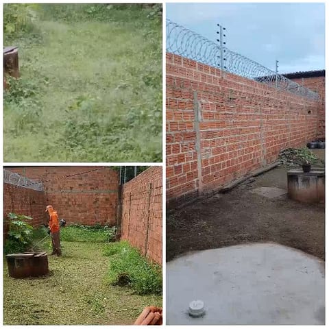 Narrow Garden Workspace with Tools
