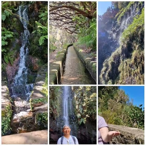 Serene Natural Environment with Waterfalls