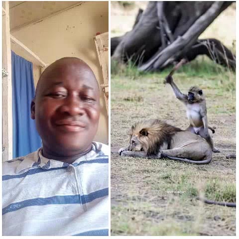Smiling Man and Monkey on Lion