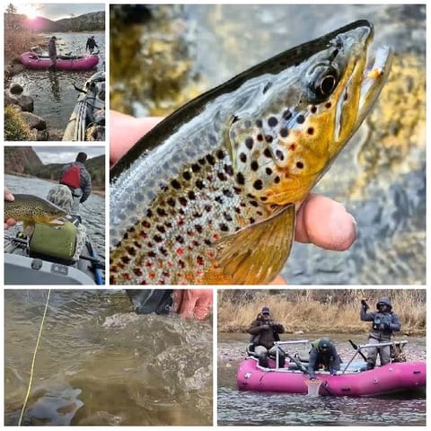 Fishing Activities in Outdoor Scenes