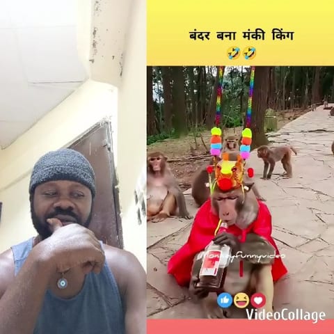 Thoughtful Moment with a Monkey